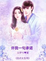 许我一个承诺是什么歌
