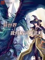 有精灵的异界玄幻