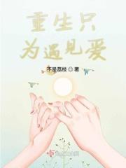重生只为见到你