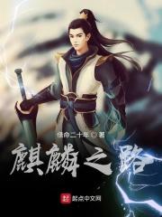 麒麟之翼介绍