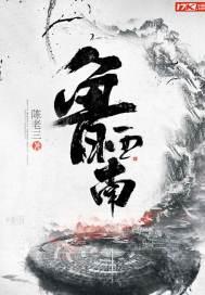 鲁西南记忆