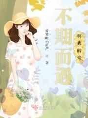 不期而遇歌词
