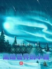 神奇宝贝黑化小智
