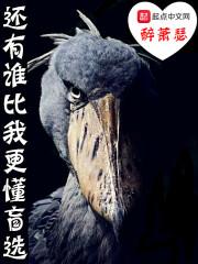 还有谁比我们更绝配这句歌词出自哪首歌