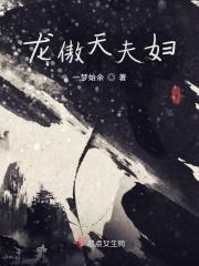 番外龙傲天