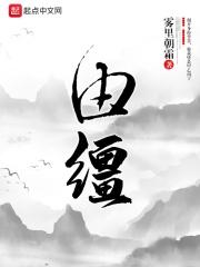 由缰猫大夫