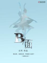 b面身份是什么意思