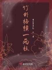 竹外梅花香满路全诗