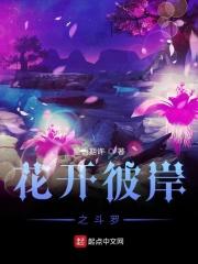 斗罗彼岸双生