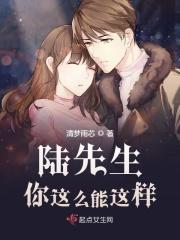 陆先生你好吗云晓月著