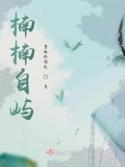 楠楠鱼写的全部