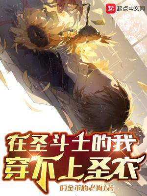 在圣域当圣斗士