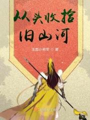 从头收拾旧山河朝天阙