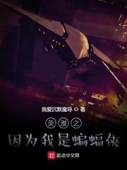 美漫之因为我是蝙蝠侠TXT