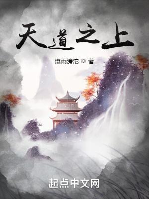 天道之上的级别是什么