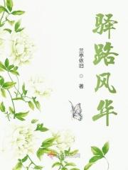 驿路花开歌词