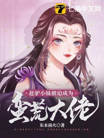 电视剧赶驴记