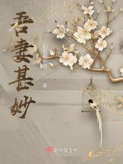 吾妻甚妙无广告
