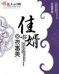 乘龙佳婿