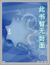 穿越古代最强姑爷电视剧免费观看