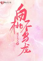 白桃乌龙meco