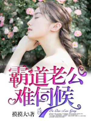 霸道老公hold不住免费阅读