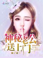 神秘老公全文免费阅读
