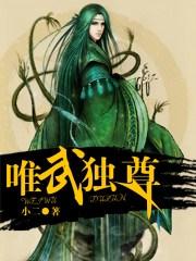 唯武独尊全文免费阅读