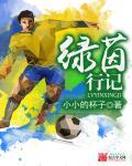 绿茵奇迹百度版