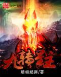 北京九转星移咨询有限公司