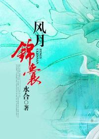 风月锦囊原著晋江