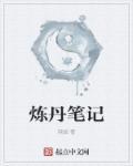 炼丹笔记 杨晨
