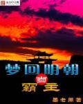 回到明朝当霸王txt