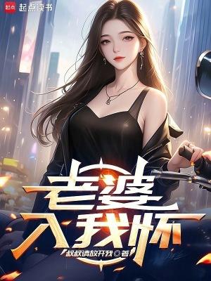 老婆入我怀无防盗原著叫什么