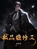 极品维修工王军全集