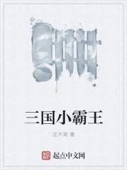 小霸王游戏三国系列
