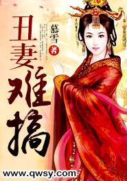 丑妻难追免费阅读