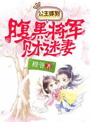 公主嫁到腹黑将军喜当爹全