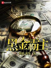 黑金霸主笔趣阁