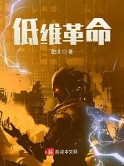 低维革命TXT