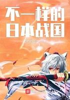 不一样的日本战国精校