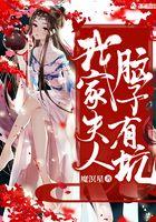 我夫人脑子有坑甜妻