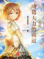 诸葛大力完结