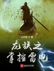 龙族之掌控雷电无弹窗的精彩章节摘抄