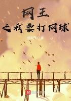 网王之我要打网球笔趣阁