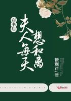穿书后夫人每天想和离 糖糊芦