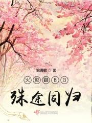 穿越火影成为鼬的双生子