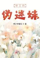 球迷的球王 百度
