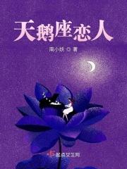 天鹅座介绍
